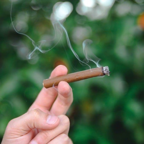 pre-rolled joint